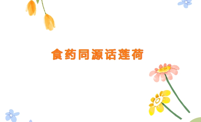 线上邮票展 —— 邮踪图谱第二期：食药同源话莲荷