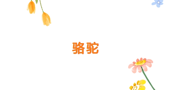 线上邮票展 —— 邮踪图谱第三期：骆驼