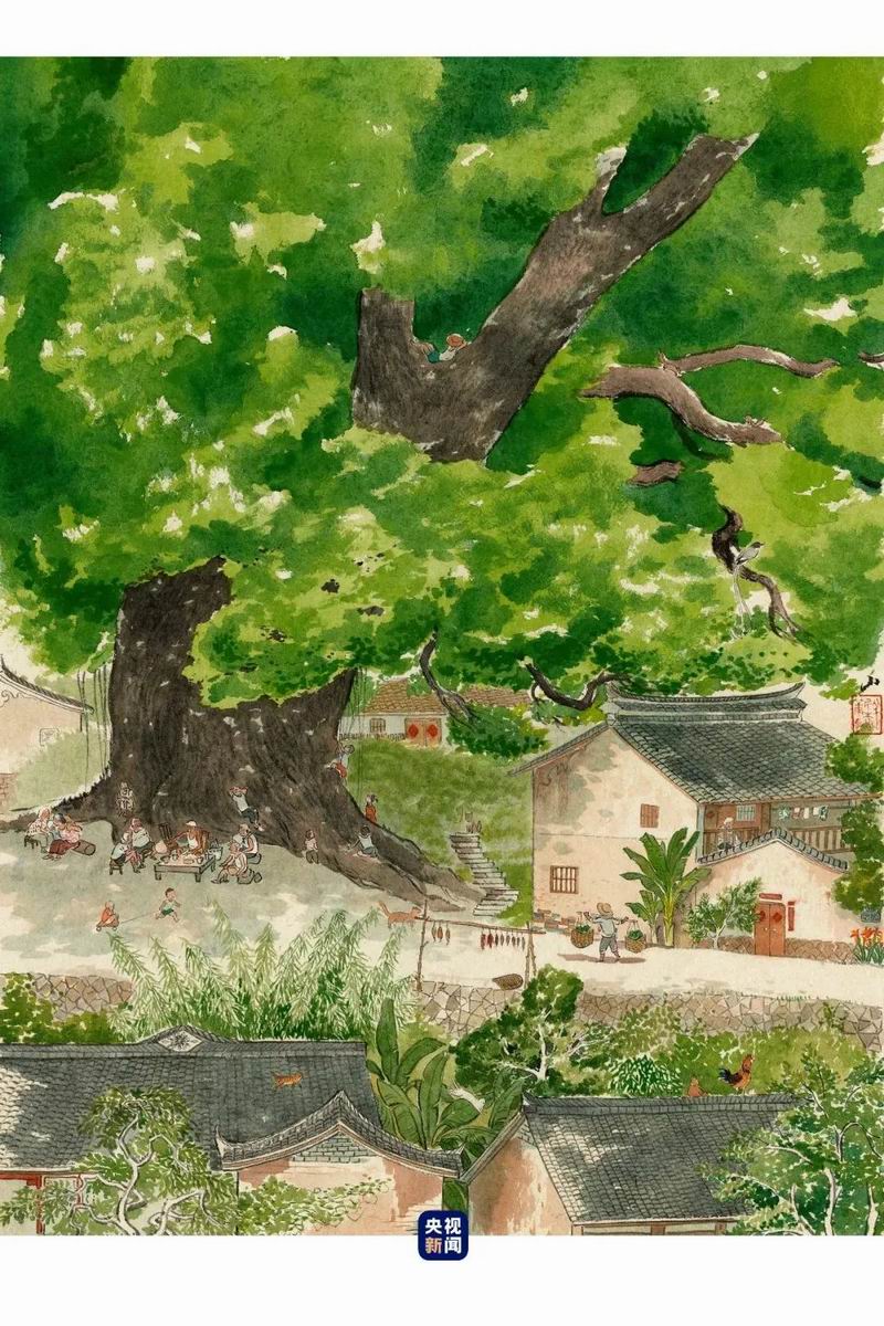 【大暑】夏天的最后一个节气