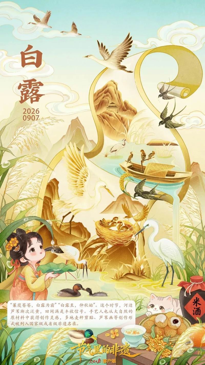 【白露】蒹葭染露，天地清宁