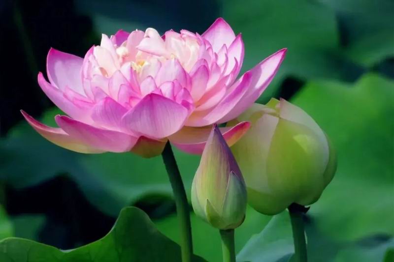 640_wx_fmt=jpeg&from=appmsg&tp=webp&wxfrom=5&wx_lazy=1 (1)