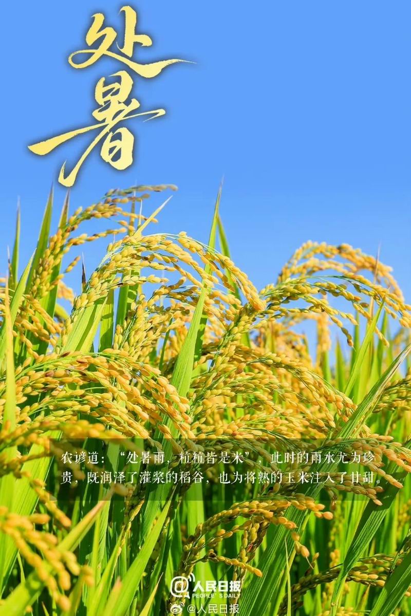640_wx_fmt=jpeg&from=appmsg&tp=webp&wxfrom=5&wx_lazy=1 (1)